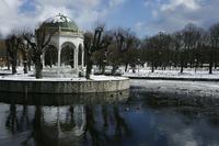 Kadrioru pargis tähistatakse musta vesimao aasta algust