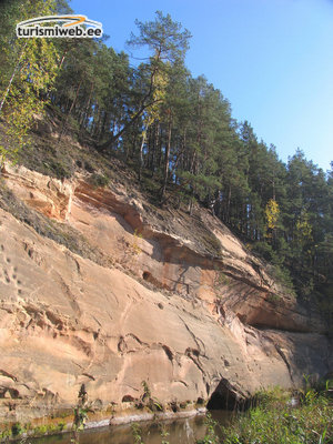 2/3 Härma Walls (sandstone Outcrops) At Piusa River's Primeval Valley