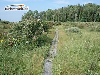 1/1 Kääpa Landscape Reserve