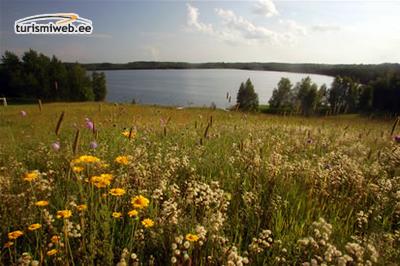 1/3 Lake Kirikumäe Landscape Reserve