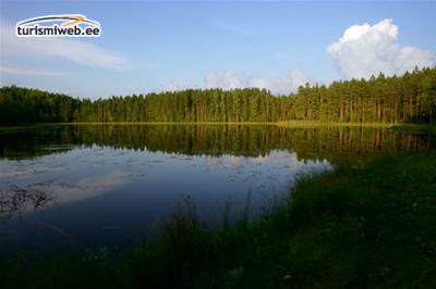 2/3 Lake Kirikumäe Landscape Reserve