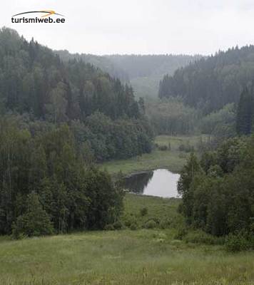 3/3 Kütiorg (hunter's Valley) - Deepest Primeval Valley In Estonia