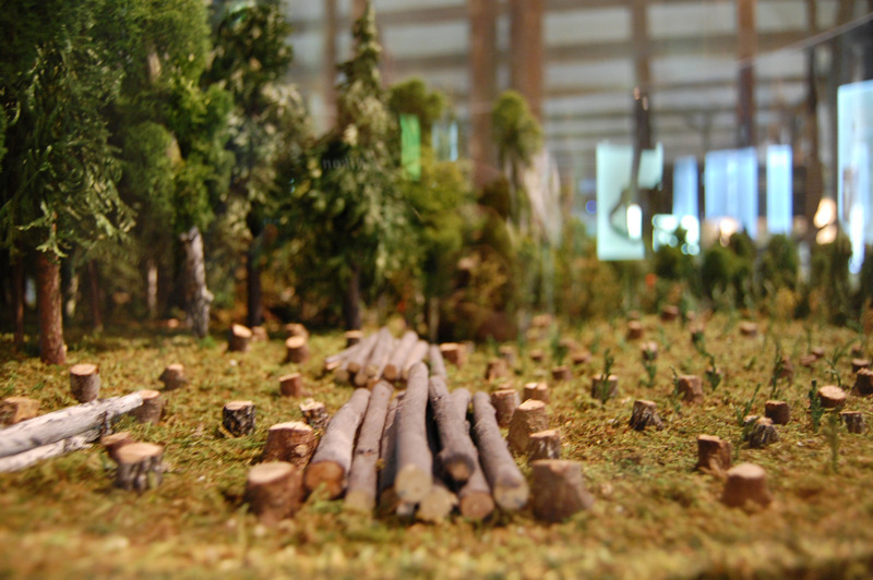 7/7 Sagadi Forest Museum